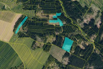 Lesní pozemek 5Kč/m2 k.ú. Velký Ježov 3.724m2 - 8