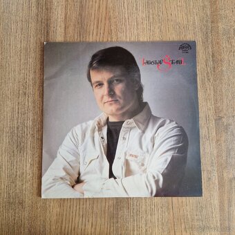 20x LP vinyl, české, různé žánry #2 - 8