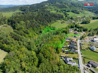 Prodej lesa, 18014 m², Ratiboř - 8