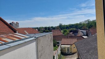 Prodej bytu 3+1 (127 m²) Veselí nad Moravou - 8