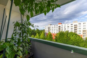 Prodej, byt 1+1 33 m2, ul .Ondrouškova - 8