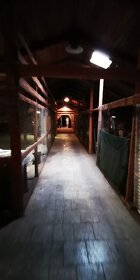 PRONAJMEME skladové koje 20-30m2 - 8