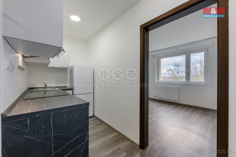 Pronájem bytu 2+1, 49 m², Karlovy Vary - Tuhnice - 8