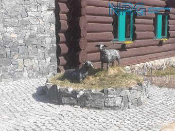 Rodinný dům 4+kk, Bohdaneč u Zbraslavic, 1048m2 - 8