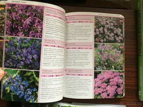 Pokojové rostliny, Balkónové rastliny,z - 8