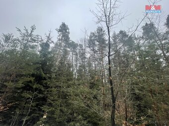Prodej, les, 12219 m2, Smrčí u Semil, Záhoří - 8