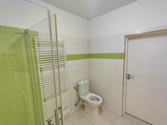 Byt 1+kk Dolní Břežany (Praha západ) - 8