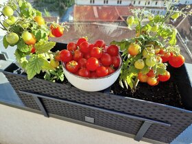 Zábrana truhlíků BV - držák bez vrtání - 8