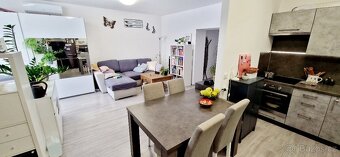 Pronájem prostorné 1kk 45m2 v Břeclavi - Poštorné - 8