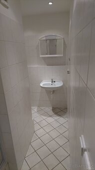 Pronájem zařízeného 2+1, 47 m2 – Durychova - 8