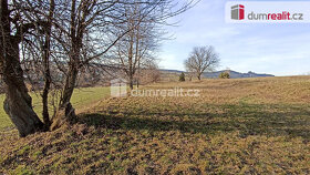 Prodej zemědělského pozemku 4837 m2 , Lačnov - 8