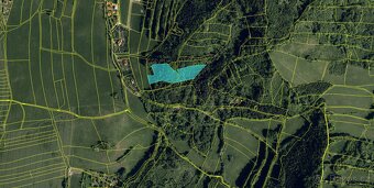 Prodám lesní pozemky v katastrálním území Petřkovice u Staré - 8