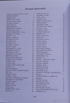 Slovník,  Český jazyk, pravopis - 8