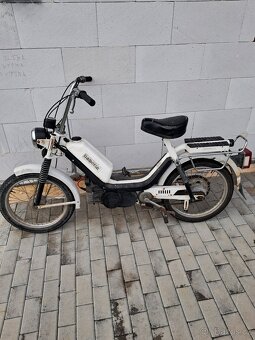 Manet korado Babeta 210 - 8