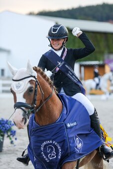 Sepík - stáj, kde se váš talent rozvine naplno - 8