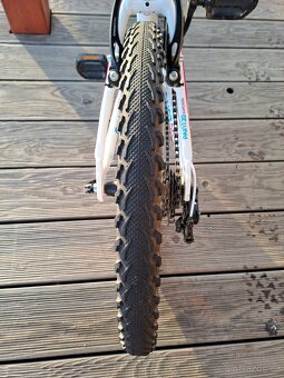 Superior Paint 20"- PĚKNÉ - 8