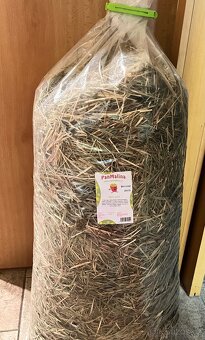 Krásný mini králíček+klec160cm+příslušeny–Vánoční dárek - 8