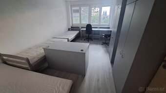 Pronájem bytu, pronájem pokoje, Zlín Tř. T. Bati - 8