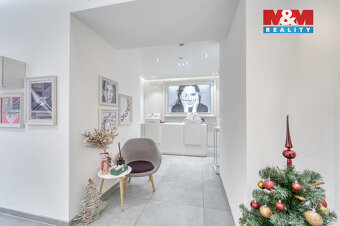 Pronájem obchod a služby, 116 m², Plzeň, ul Bedřicha Smetany - 8