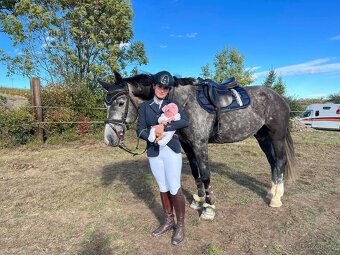 westfalsky valach - 8