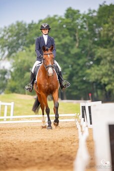 Top klisna do sportu - 8