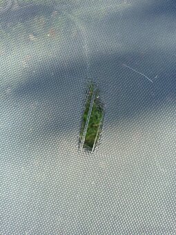 Velká trampolína - 8