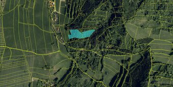 Prodám lesní pozemky v katastrálním území Petřkovice u Staré - 8