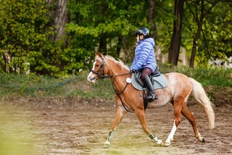 pony A - Vanilka - sen každé princezny - 8