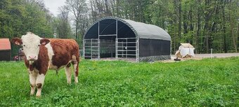 přístřešek pro zvířata 6x6 metrů - 8
