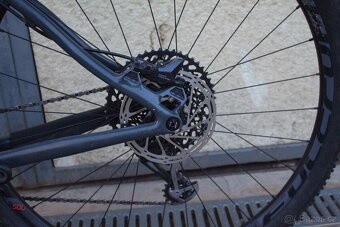 Duratec TORAIN C1 29" - 8