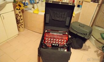 Prodám akordeon delicie junior 24   60 basů - 8
