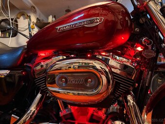HARLEY XL1200C SPORTSTER - 8