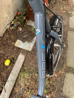 Kolo BBF Germany, NEJETÉ - 8