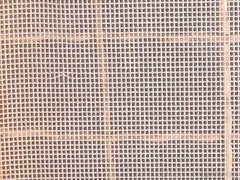 Sítě proti hmyzu - 8