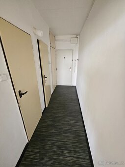 Pronájem bytu 1+kk s balkónem, Holý vrch - 8