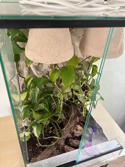 Terarium - 8