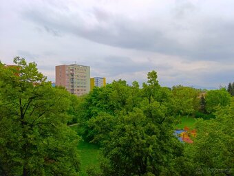 Pronájem bytu 1+1 36 m² Františka Hajdy, Ostrava - Hrabůvka - 8