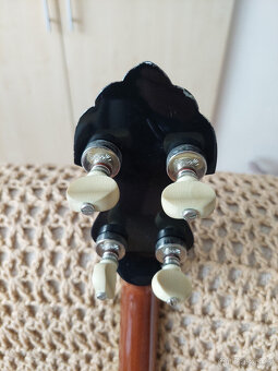 Banjo - 8