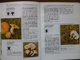 Knihy o zdraví 10x, AeroChamber Plus, brýle s dirkama - 8