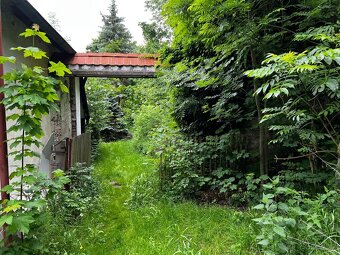Usedlost Jelm u Horní Planá - 3588m2 - 8