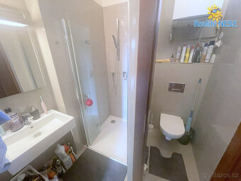 Pronájem bytu 2+1 50m2 balkon Štefánikova Praha Smíchov - 8