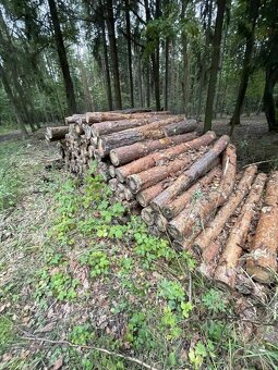 Palivové dřevo přímo pro Vás – od 900 Kč - 8