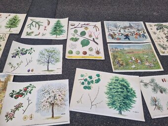 Stare skolni plakaty 50/60 leta - 8