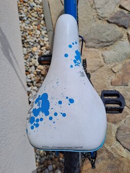 Superior Paint 20" - 8