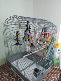 Nová klec použita měsíc - 8