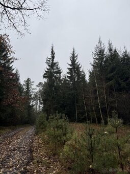 Prodám pozemky v k.ú. Veliny - 8