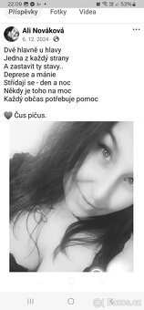 kočka Pardubice - 8