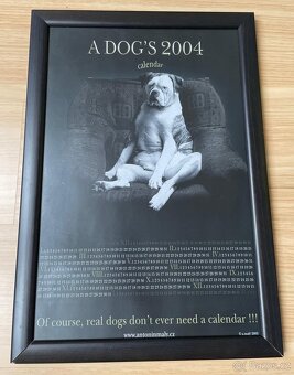 Foto Obrazy Antonín Malý s motivy psů 3 ks - 8