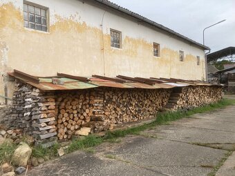 Palivové dřevo - 8