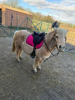 Pony sedlo - bezkostrové - 8